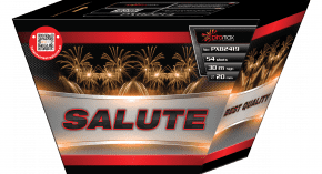 Salute 54 pucnjeva / 20mm