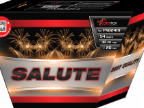 Salute 54 pucnjeva / 20mm
